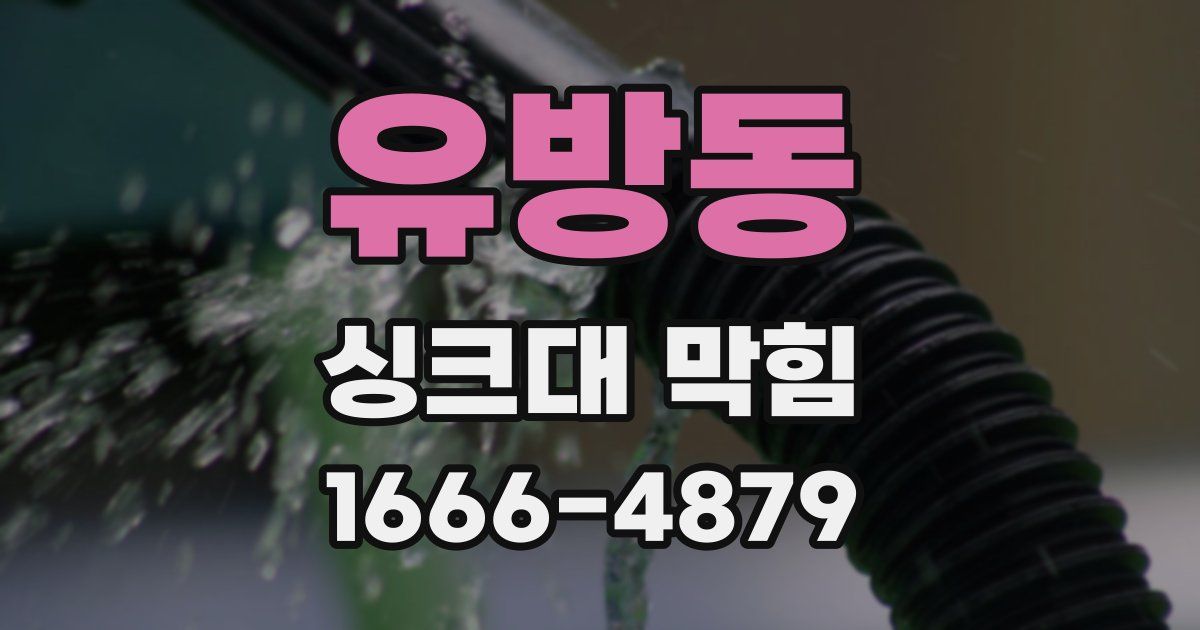 유방동 싱크대 막힘