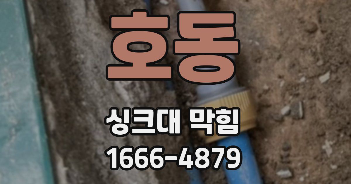 호동 싱크대 막힘