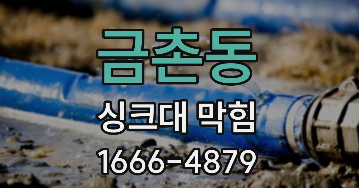 금촌동 싱크대 막힘