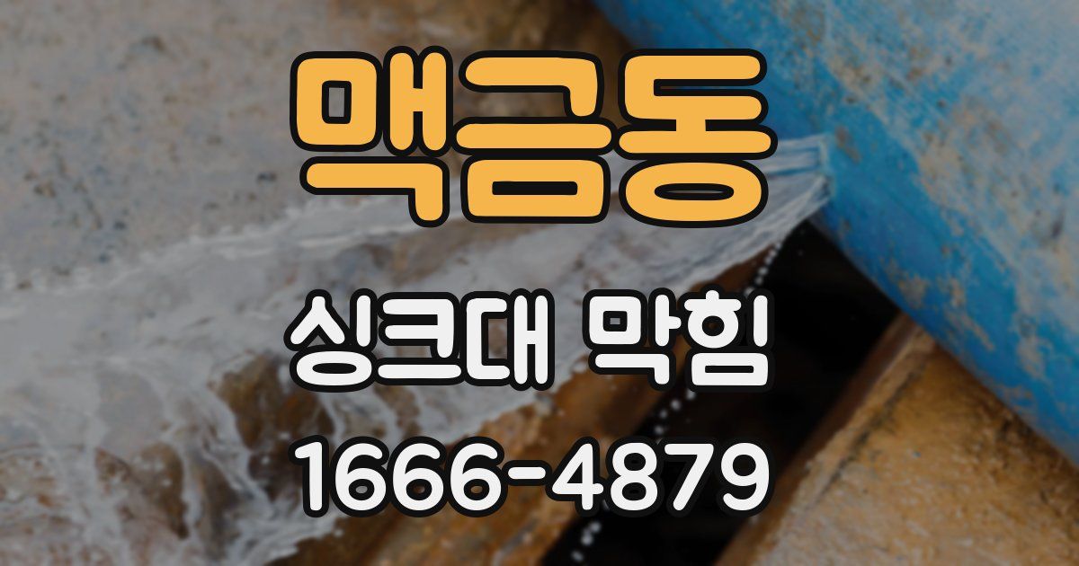 맥금동 싱크대 막힘