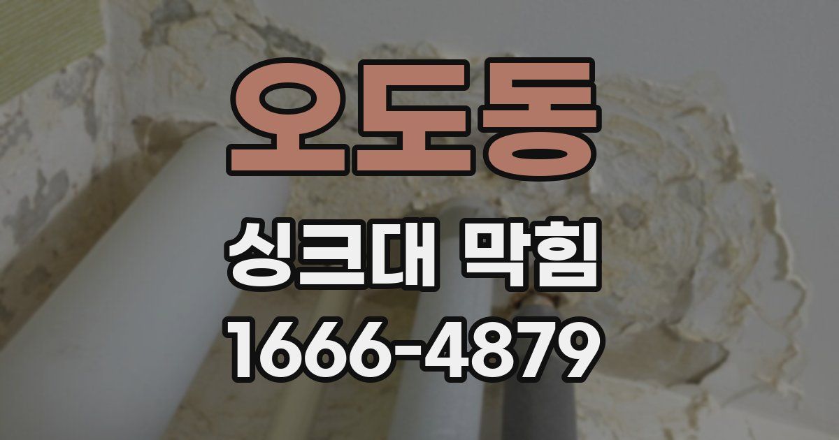 오도동 싱크대 막힘