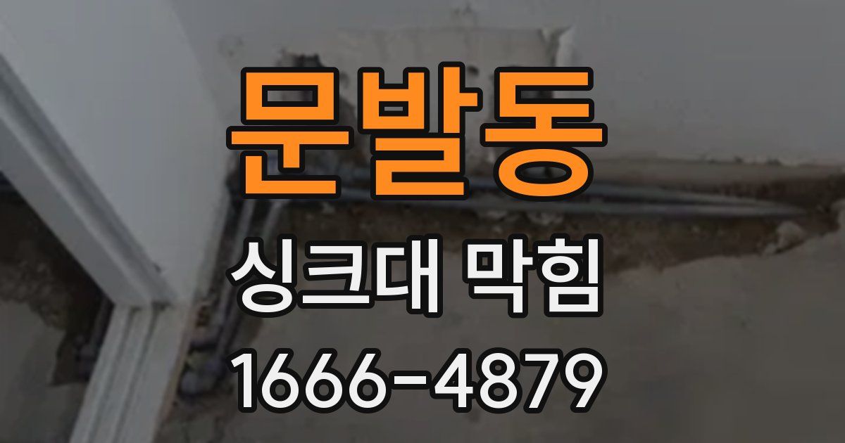 문발동 싱크대 막힘