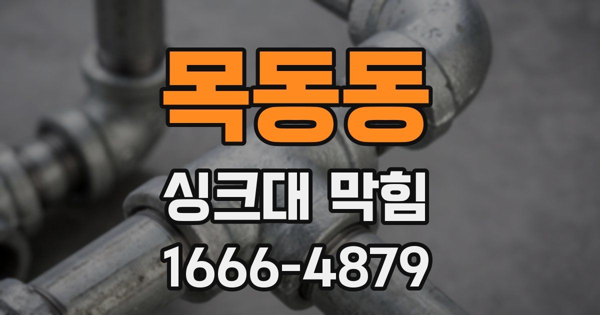 목동동 싱크대 막힘