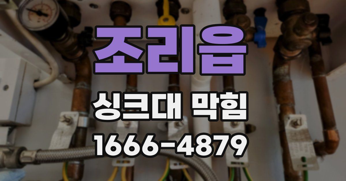 조리읍 싱크대 막힘