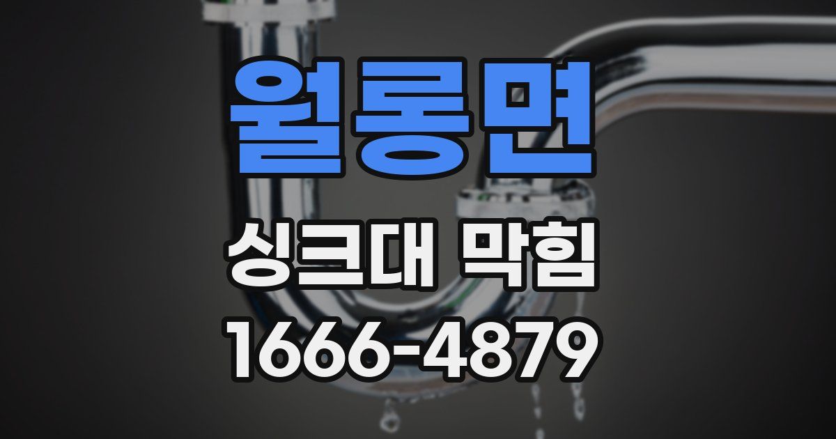 월롱면 싱크대 막힘