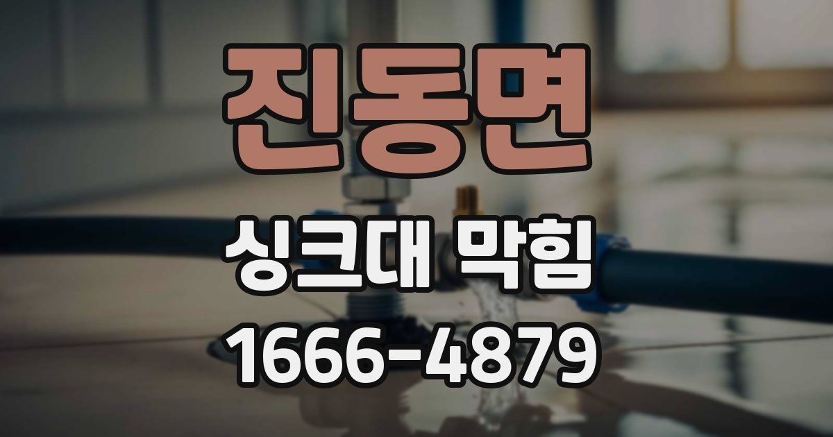 진동면 싱크대 막힘