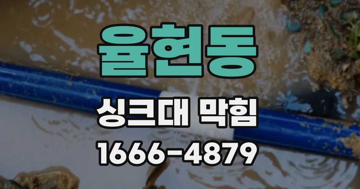율현동 싱크대 막힘