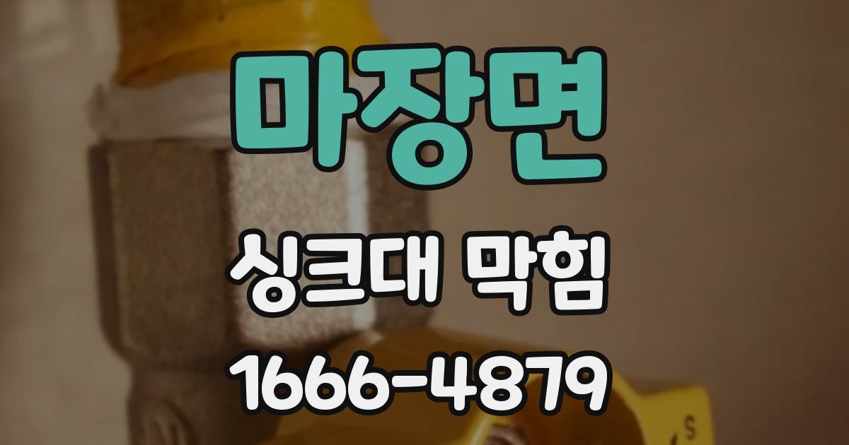 마장면 싱크대 막힘