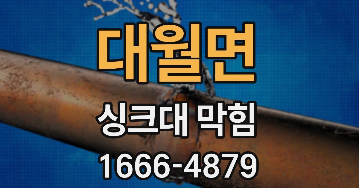대월면 싱크대 막힘
