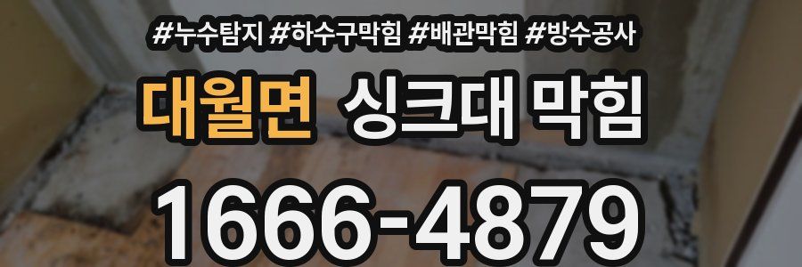 대월면 싱크대 막힘