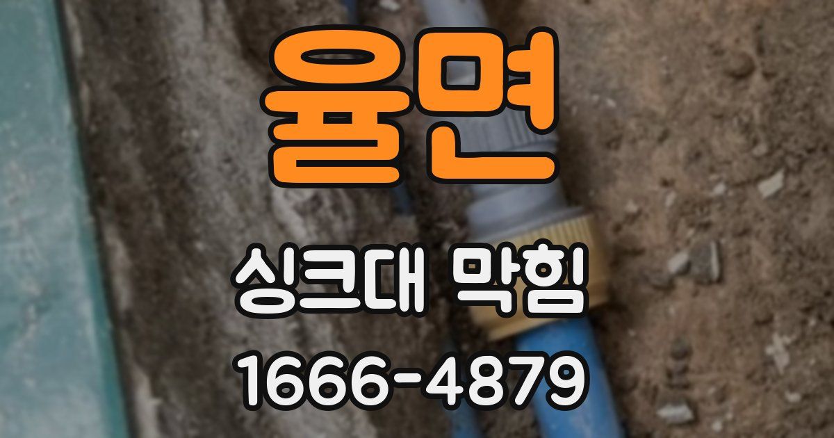 율면 싱크대 막힘