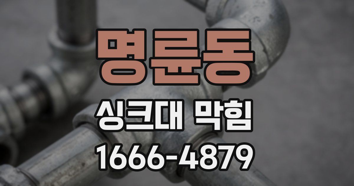명륜동 싱크대 막힘