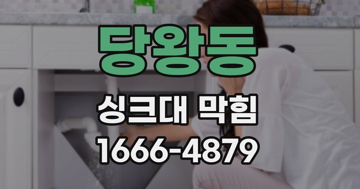 당왕동 싱크대 막힘