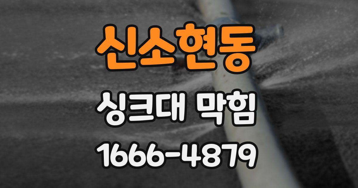 신소현동 싱크대 막힘
