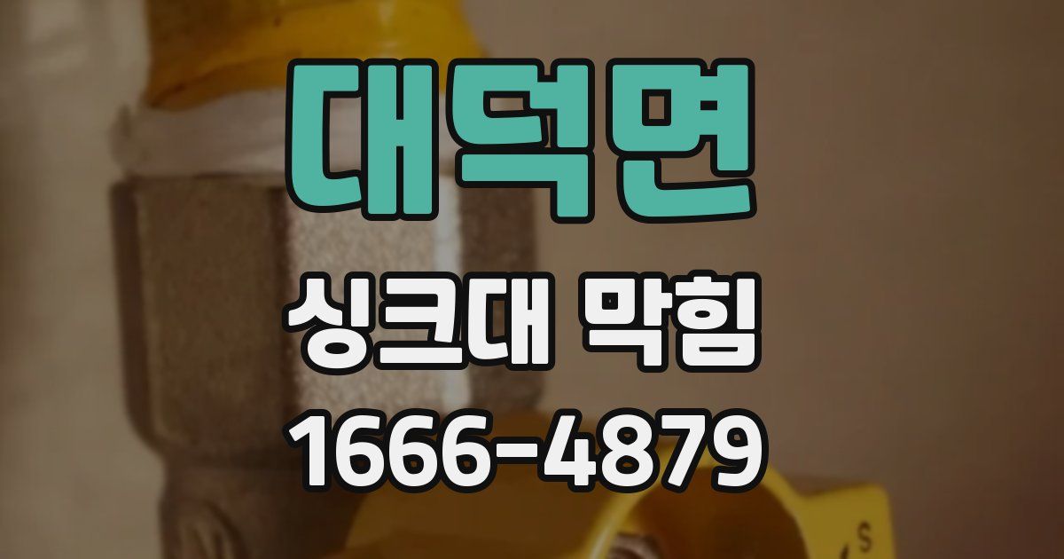 대덕면 싱크대 막힘