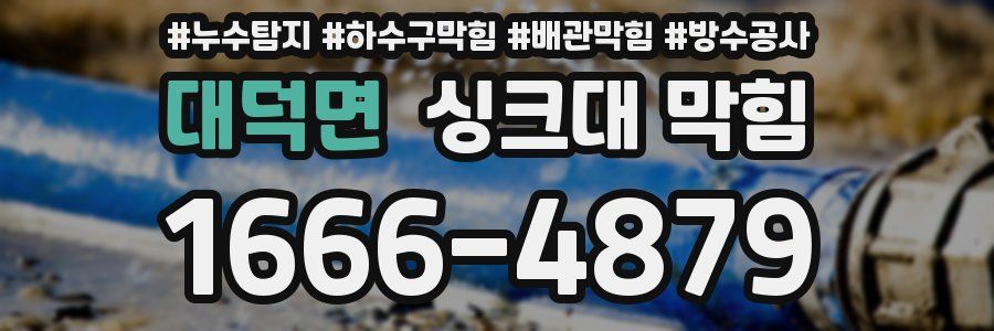 대덕면 싱크대 막힘