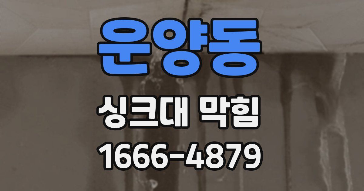 운양동 싱크대 막힘