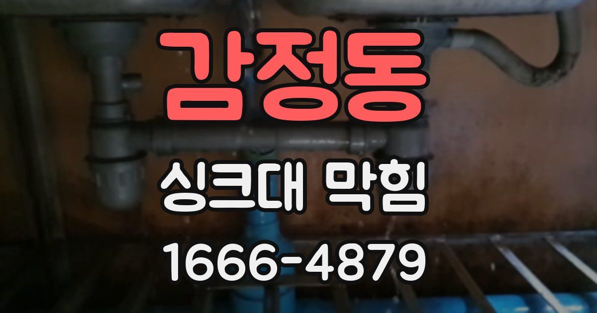 감정동 싱크대 막힘