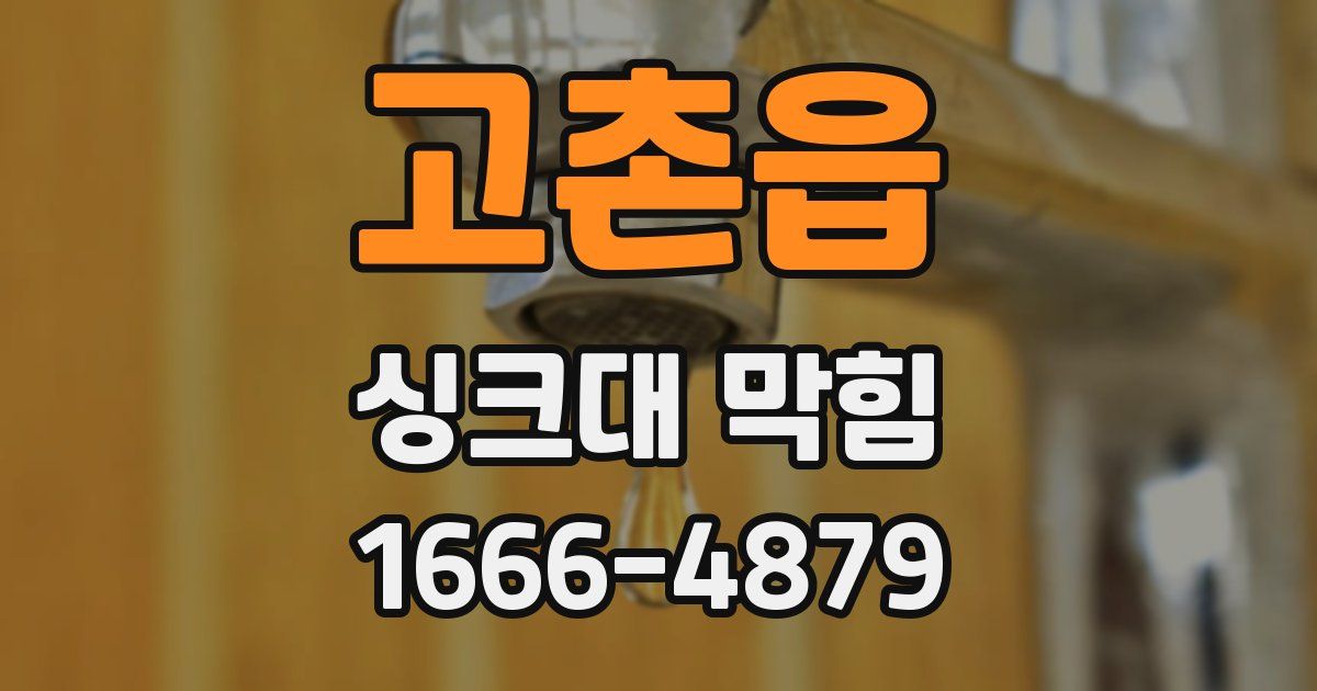 고촌읍 싱크대 막힘