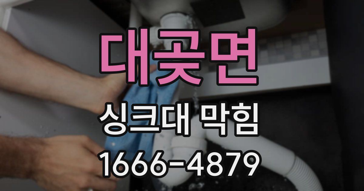 대곶면 싱크대 막힘