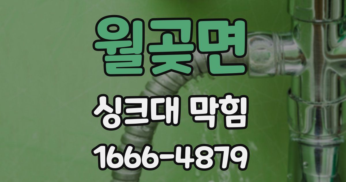 월곶면 싱크대 막힘