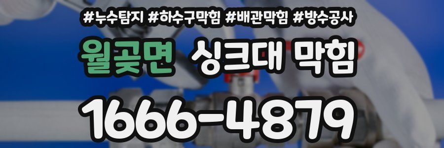 월곶면 싱크대 막힘