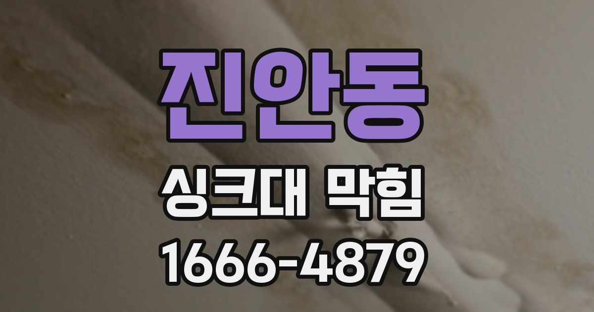 진안동 싱크대 막힘
