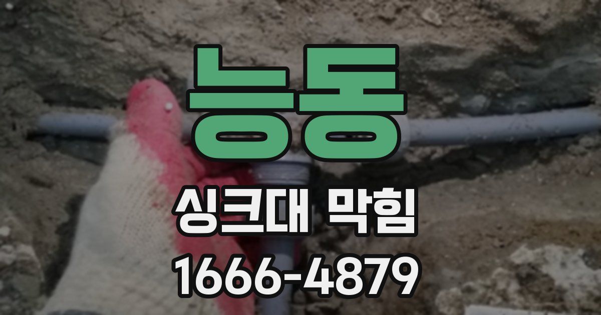 능동 싱크대 막힘