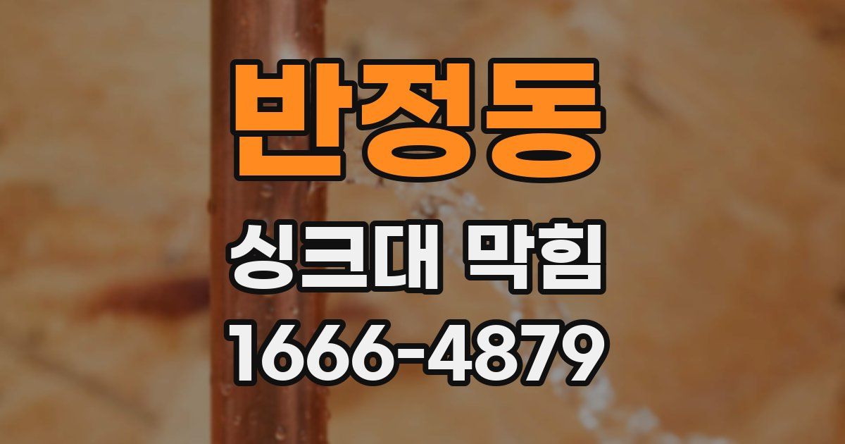 반정동 싱크대 막힘