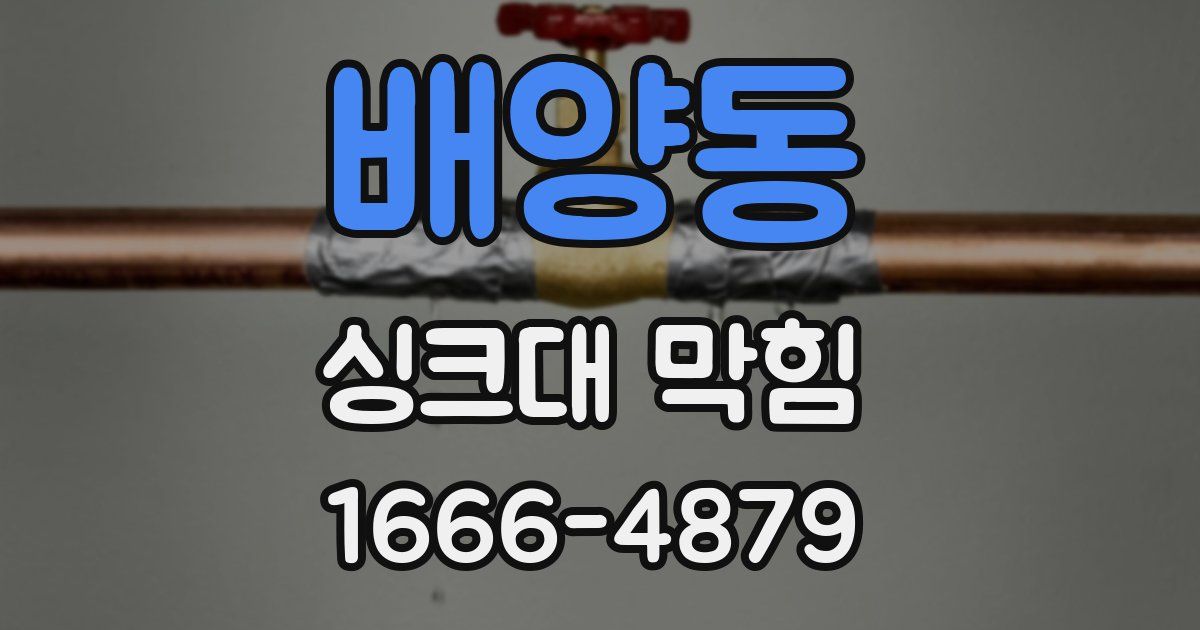 배양동 싱크대 막힘