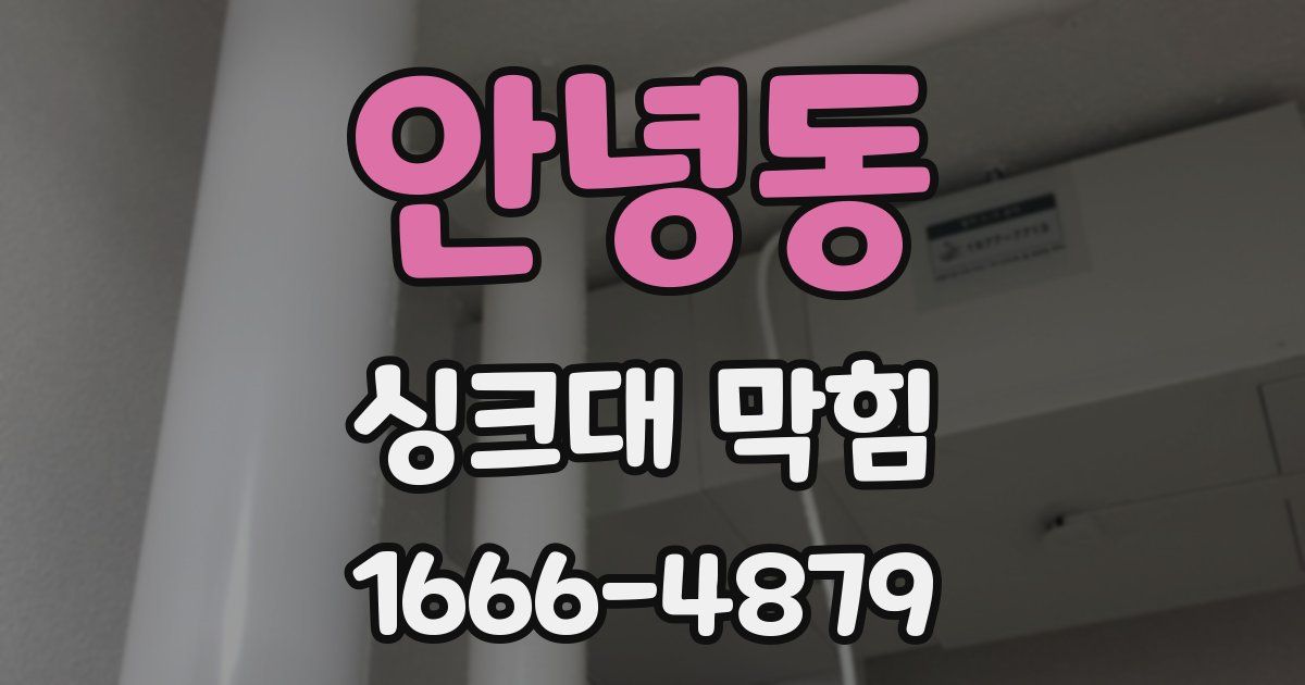 안녕동 싱크대 막힘
