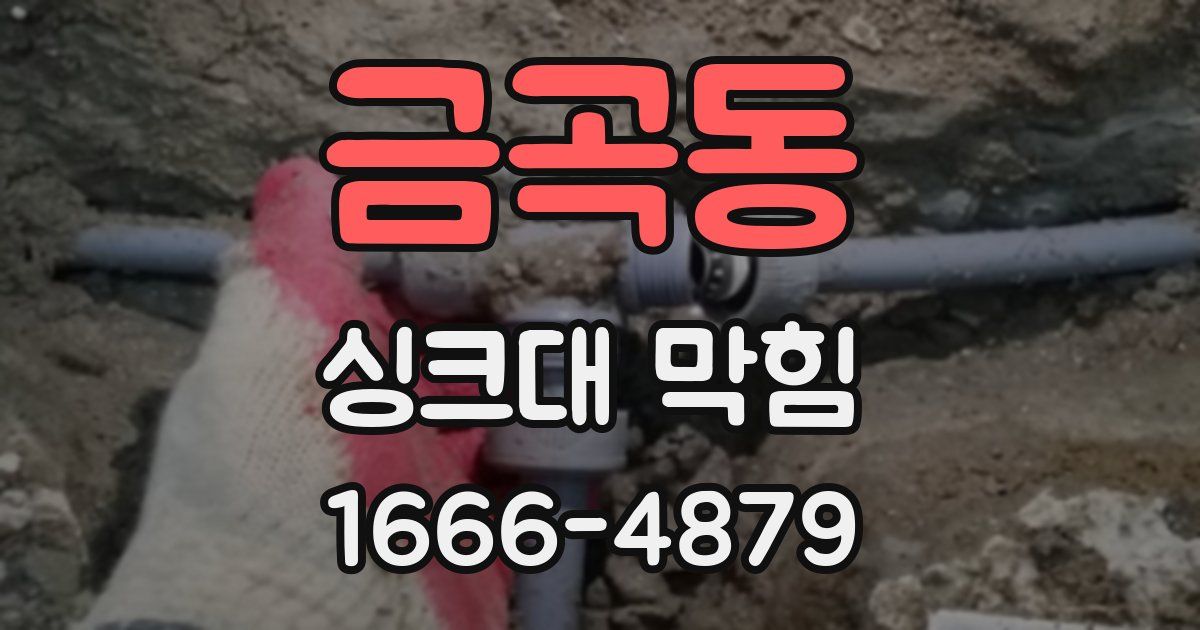 금곡동 싱크대 막힘
