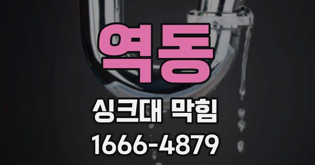 역동 싱크대 막힘