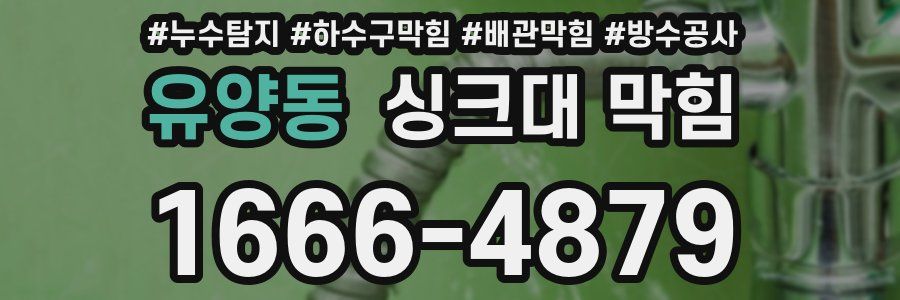 유양동 싱크대 막힘
