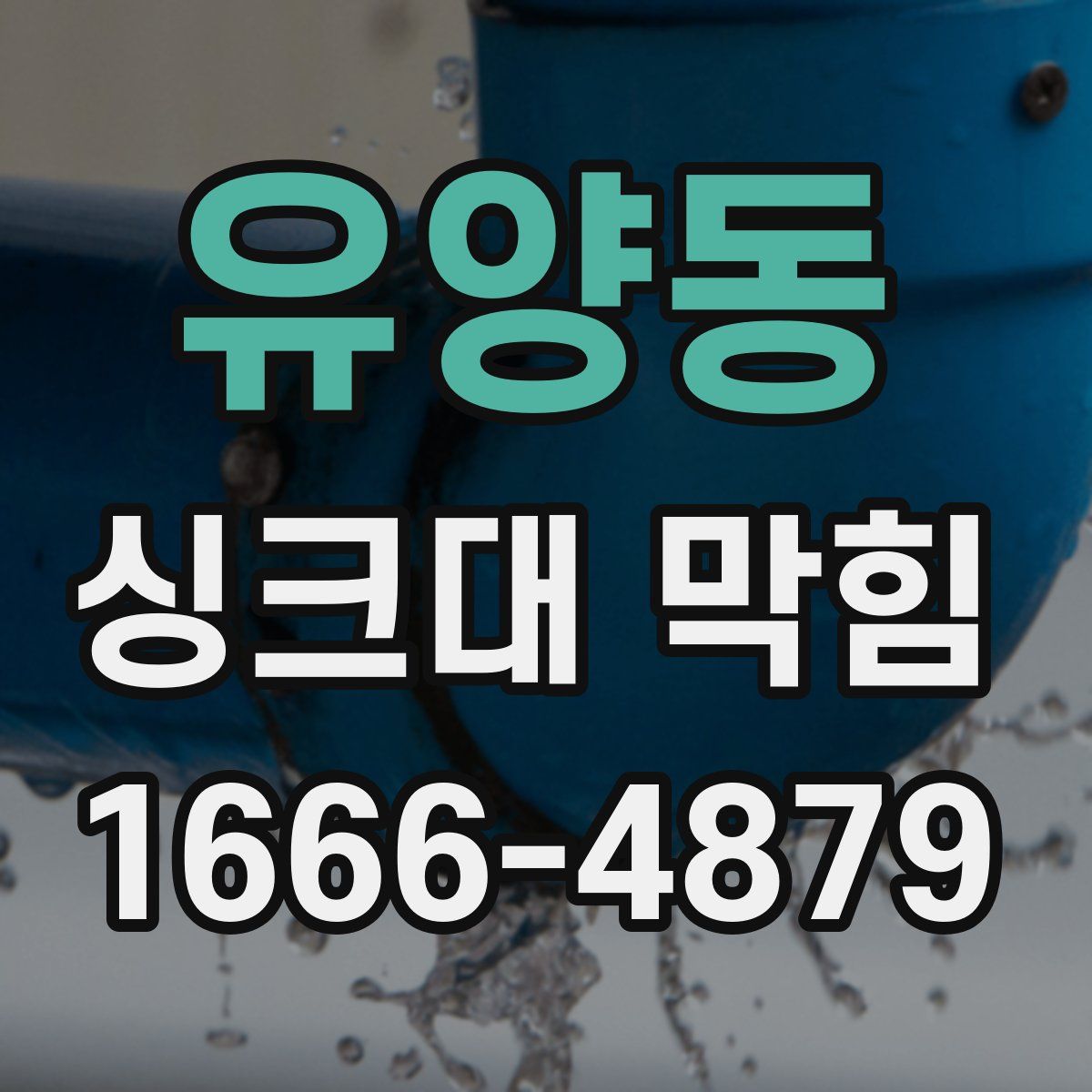 유양동 싱크대 막힘