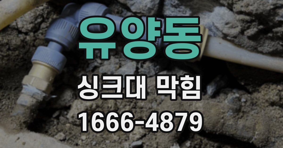 유양동 싱크대 막힘