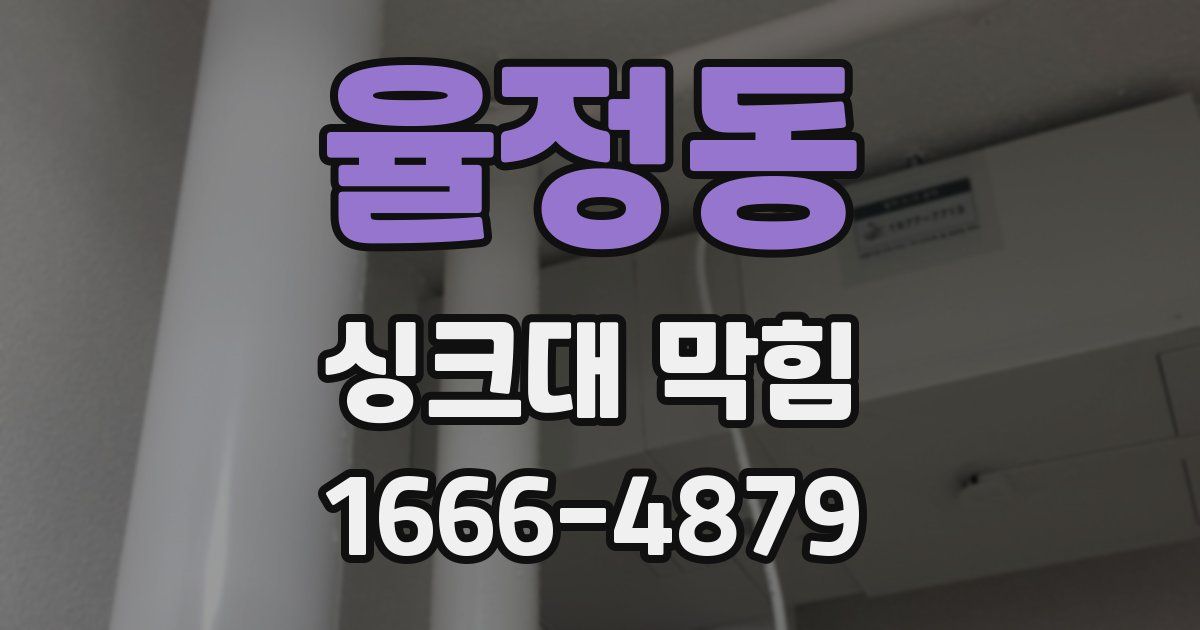 율정동 싱크대 막힘