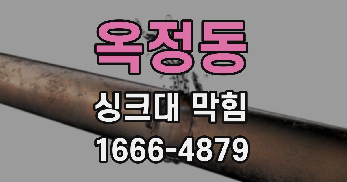옥정동 싱크대 막힘