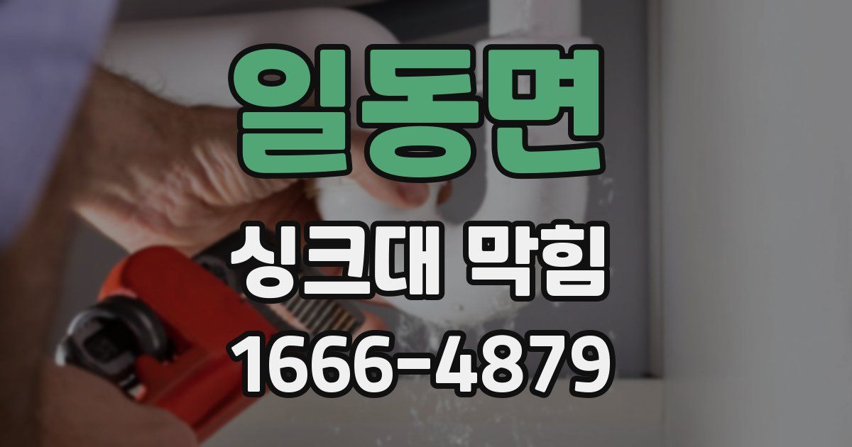 일동면 싱크대 막힘