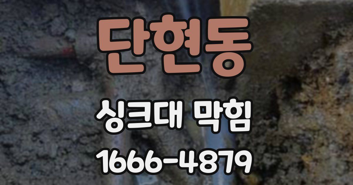 단현동 싱크대 막힘