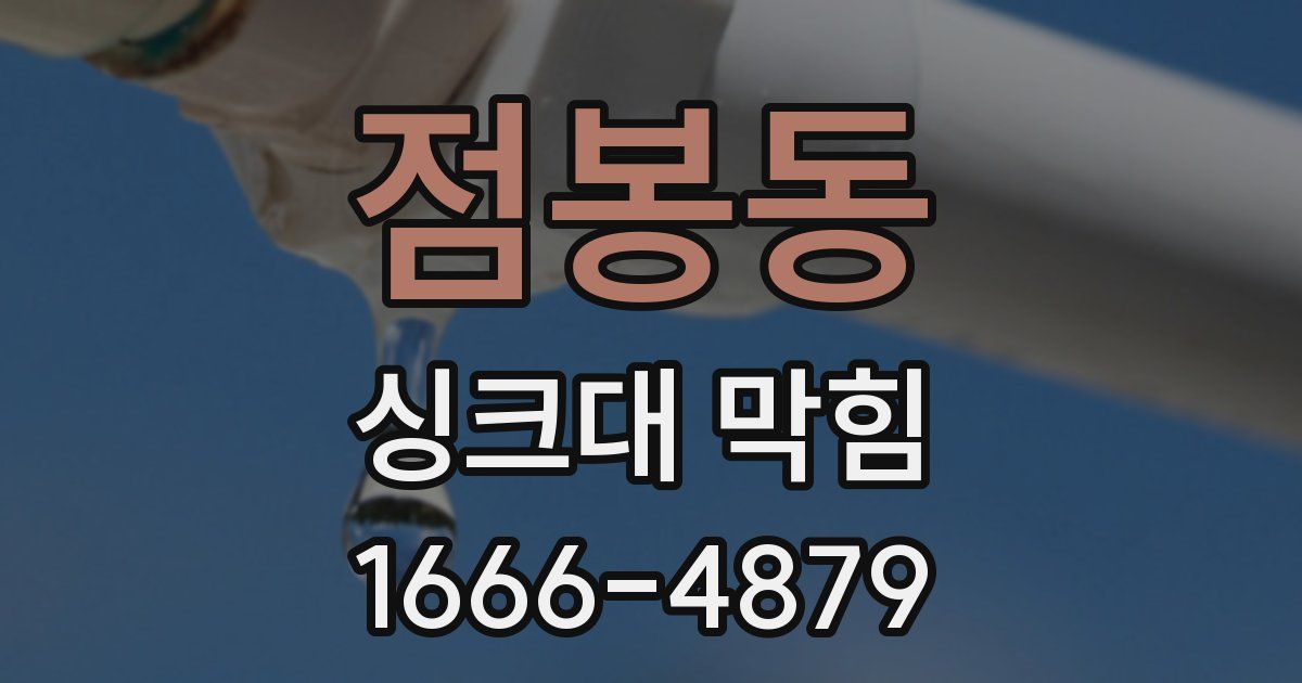 점봉동 싱크대 막힘
