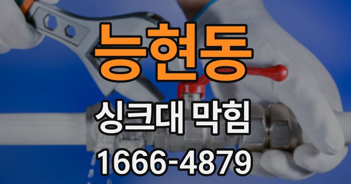 능현동 싱크대 막힘