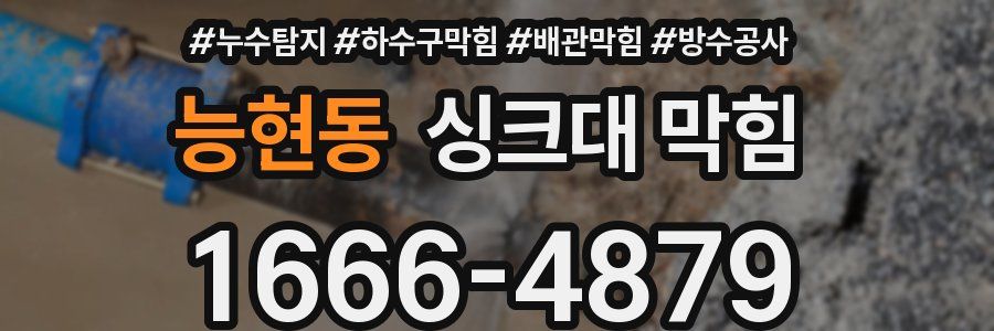 능현동 싱크대 막힘