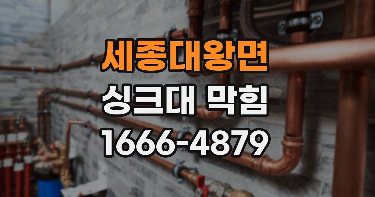 세종대왕면 싱크대 막힘