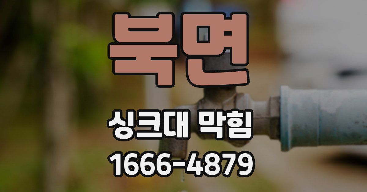 북면 싱크대 막힘