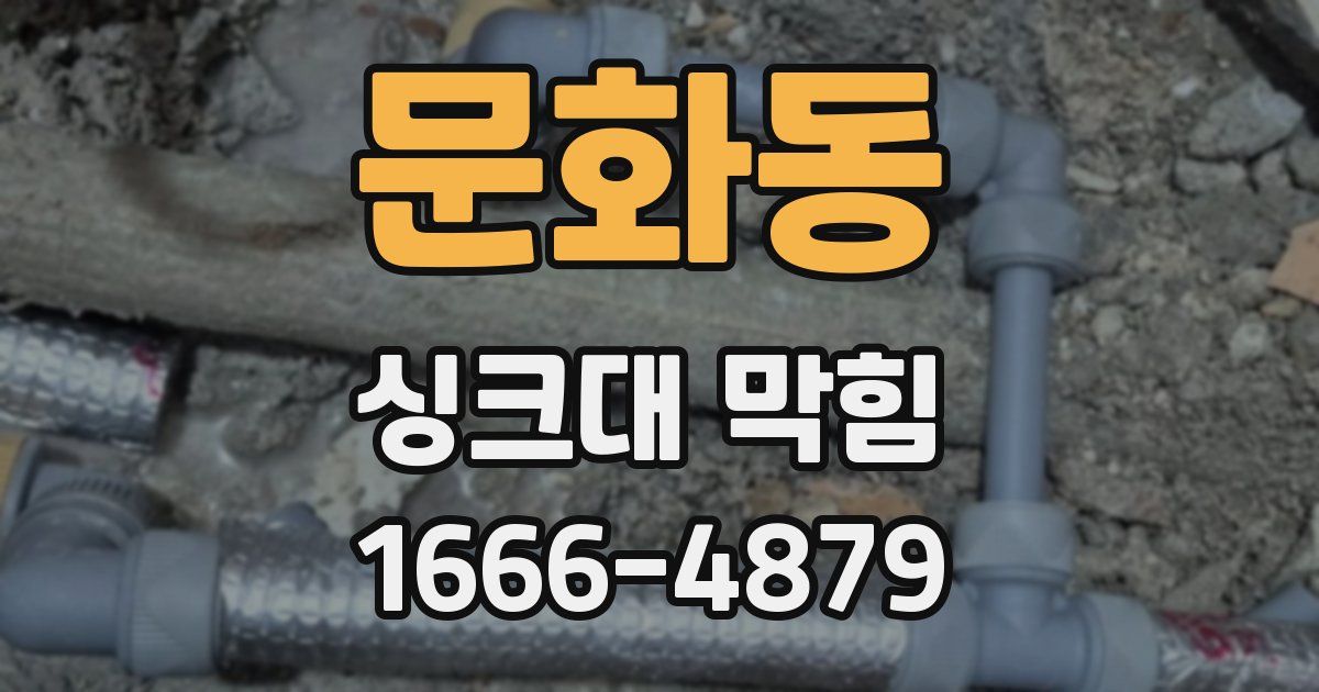문화동 싱크대 막힘