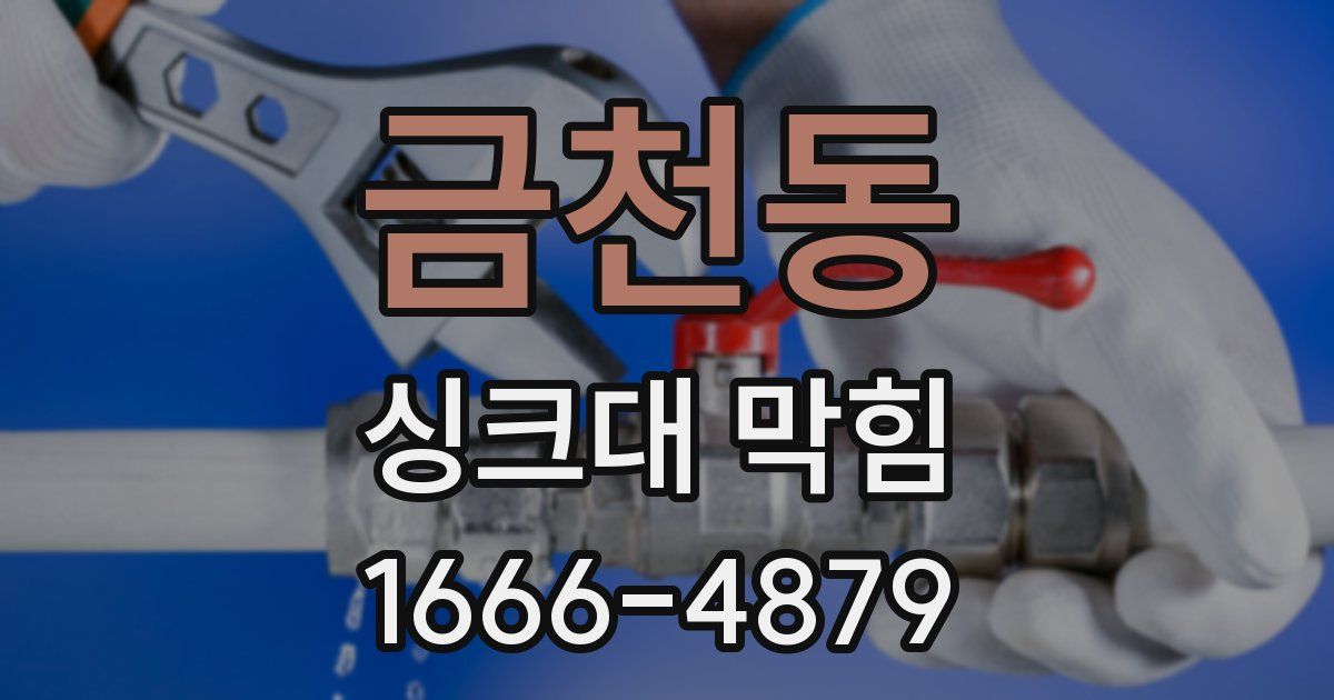 금천동 싱크대 막힘
