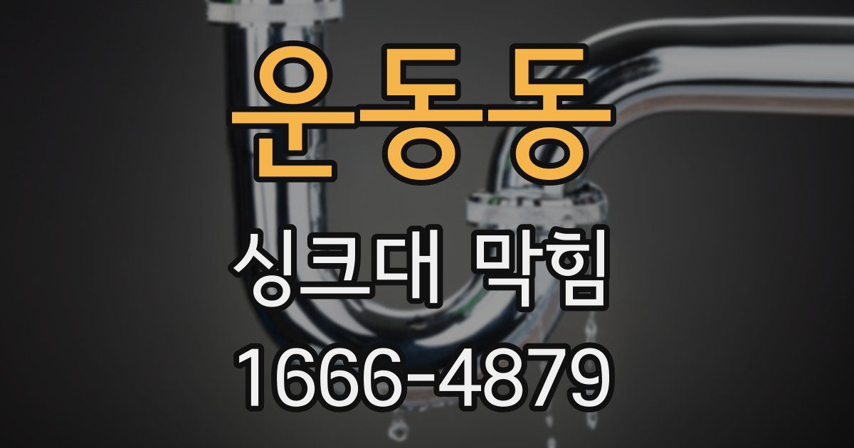 운동동 싱크대 막힘