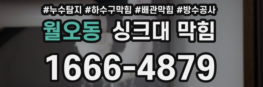 월오동 싱크대 막힘
