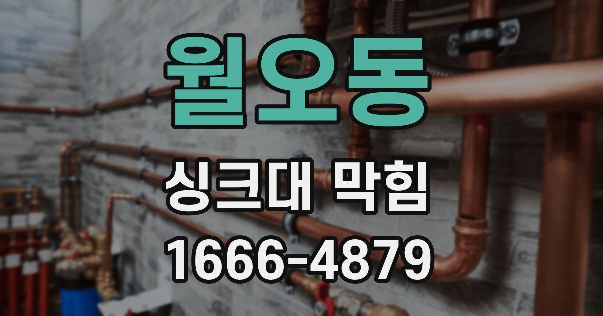 월오동 싱크대 막힘